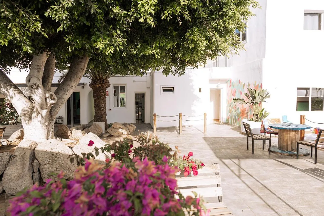 The Tree House Tenerife El Medano