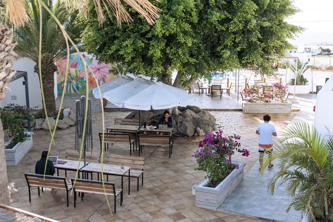Hostel The Tree House Tenerife El Medano