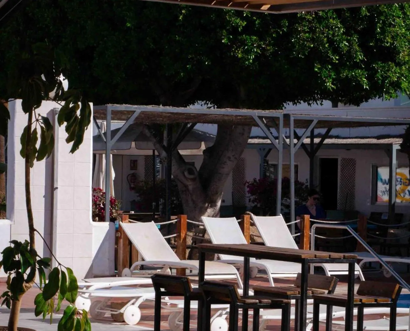 The Tree House Tenerife El Medano  0*, El Medano (Tenerife) Spain