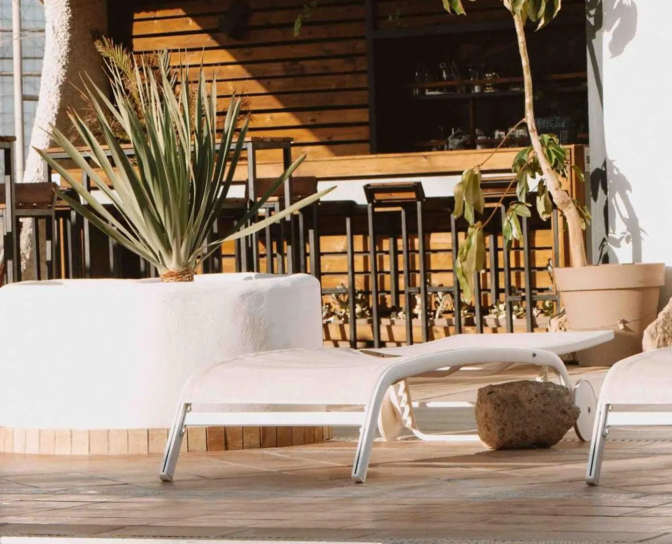 Hostel The Tree House Tenerife El Medano