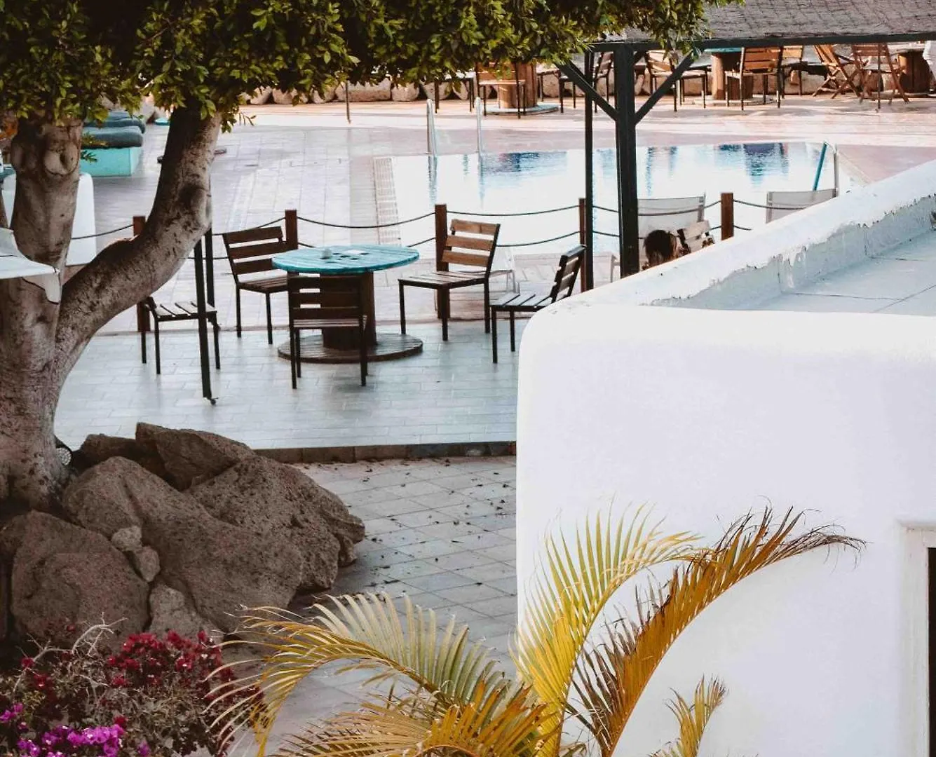 Hostel The Tree House Tenerife El Medano  Spain