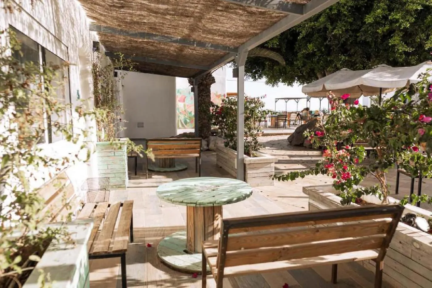 The Tree House Tenerife El Medano  Hostel El Medano (Tenerife)